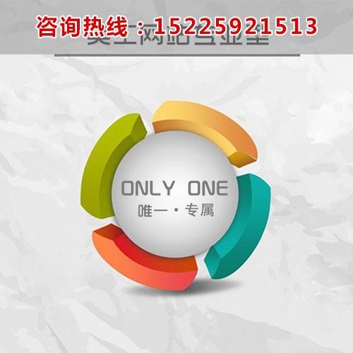 河南专业的网站建设网络营销公司15年经验